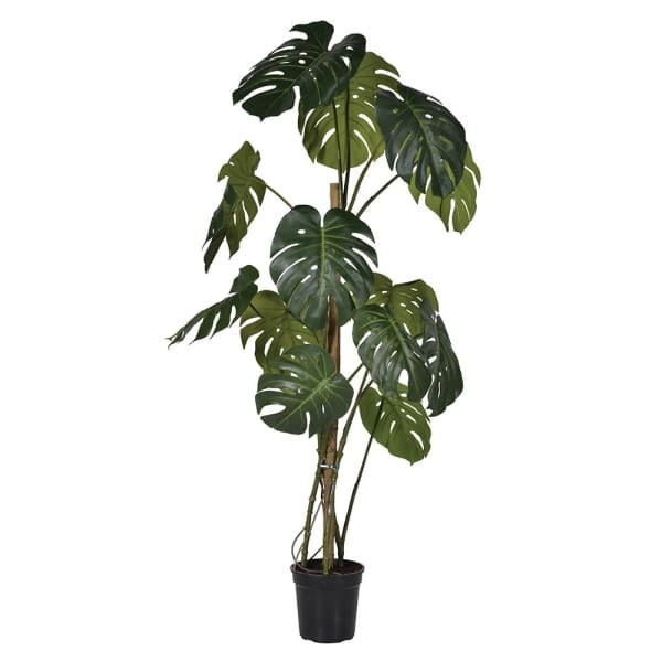 Monstera 175 cm faux plant black plastic pot
