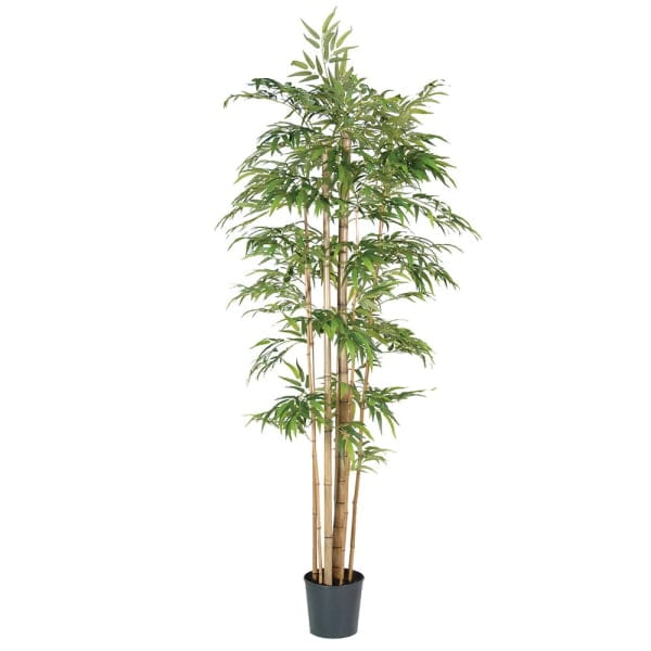 Bremner artificial bamboo tree 220 cm in a black pot