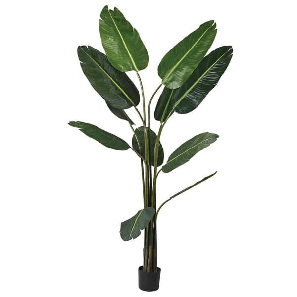 Tall faux banana tree with broad green leaves