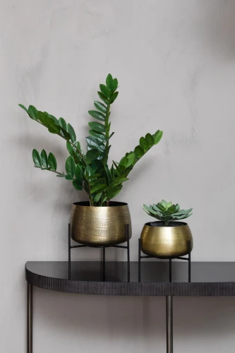 Belgrave S Indoor Planters – Set of 2 Gold Iron Plant Pots on Black Stands