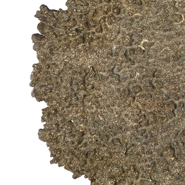 Golden Coral Sculpture - 75 cm Polyresin and Iron Home Decoration