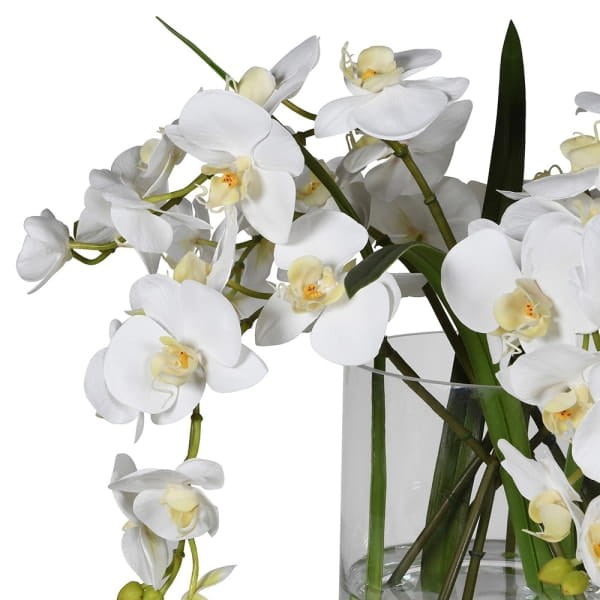 White Artificial Orchids in Glass Vase 36 cm