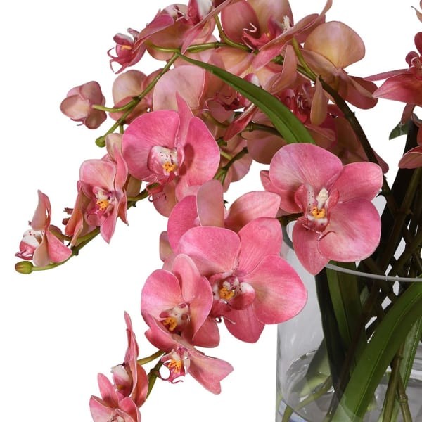 Pink Artificial Orchids in Glass Vase 36 cm