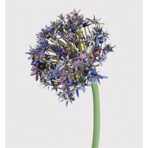 Blue Artificial Allium Stems 90cm