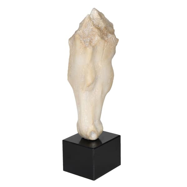 Cream Abstract Horse Head Sculpture – 50 cm
