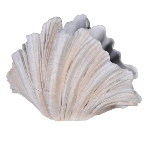 Cream Shell Sculptural Resin Vase, 55 cm