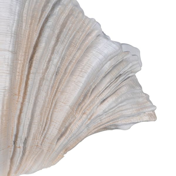 Cream Shell Sculptural Resin Vase, 55 cm