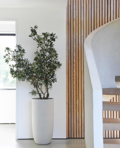 Artificial Olive Tree 154cm in a Pot