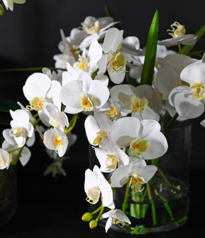 White Artificial Orchids in Glass Vase 36 cm