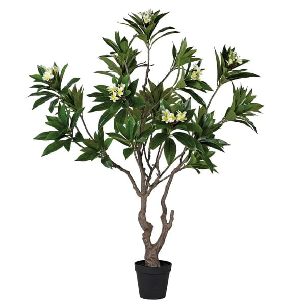 Artificial Frangipani Tree 213 cm – Outdoor Plant for Patio and Garden