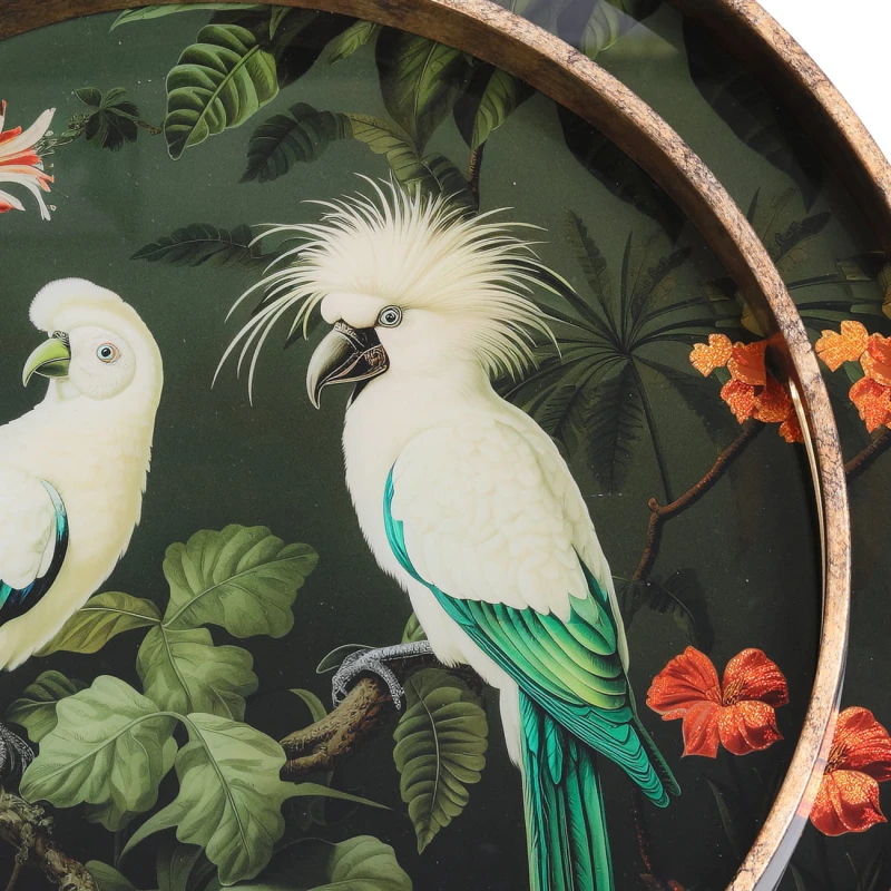 Round trays with colourful birds and botanical foliage