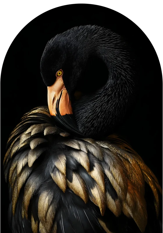 Arched black and gold bird wall art for living room