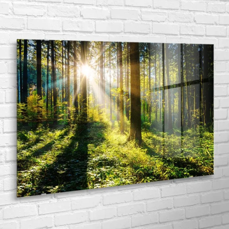 Sunny Forest glass wall art 80 × 120 cm