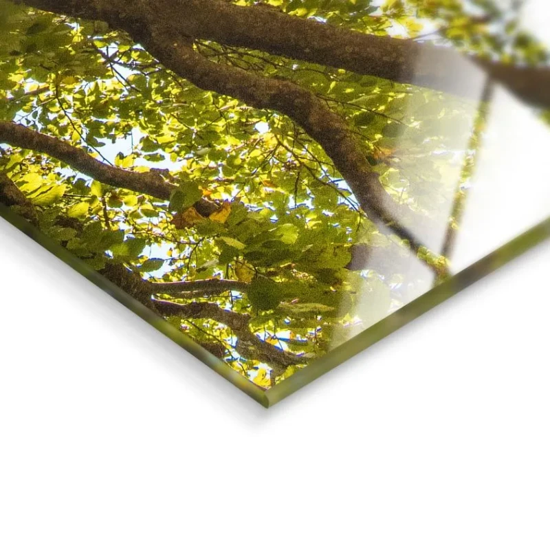 Large green forest picture for a living room