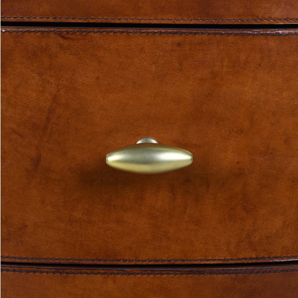 Close-up of leather drawer front and metal handle on Chester chest
