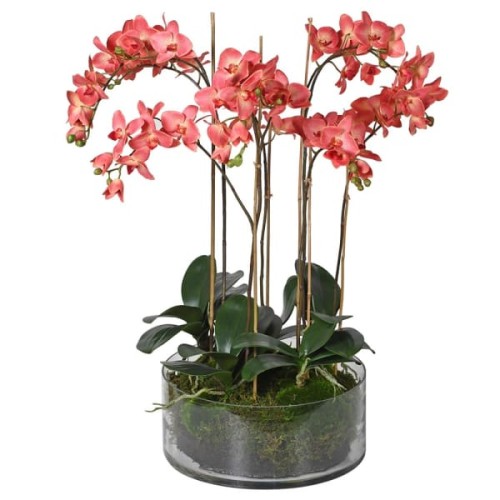Queen Dark Pink Faux Orchid 78 cm in a Clear Glass Pot